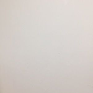 Meet your Posher, Dariela